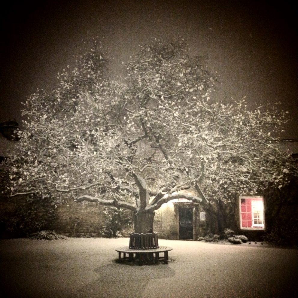 Faraz Shibli, Green Templeton Photography Competition Winner 2015