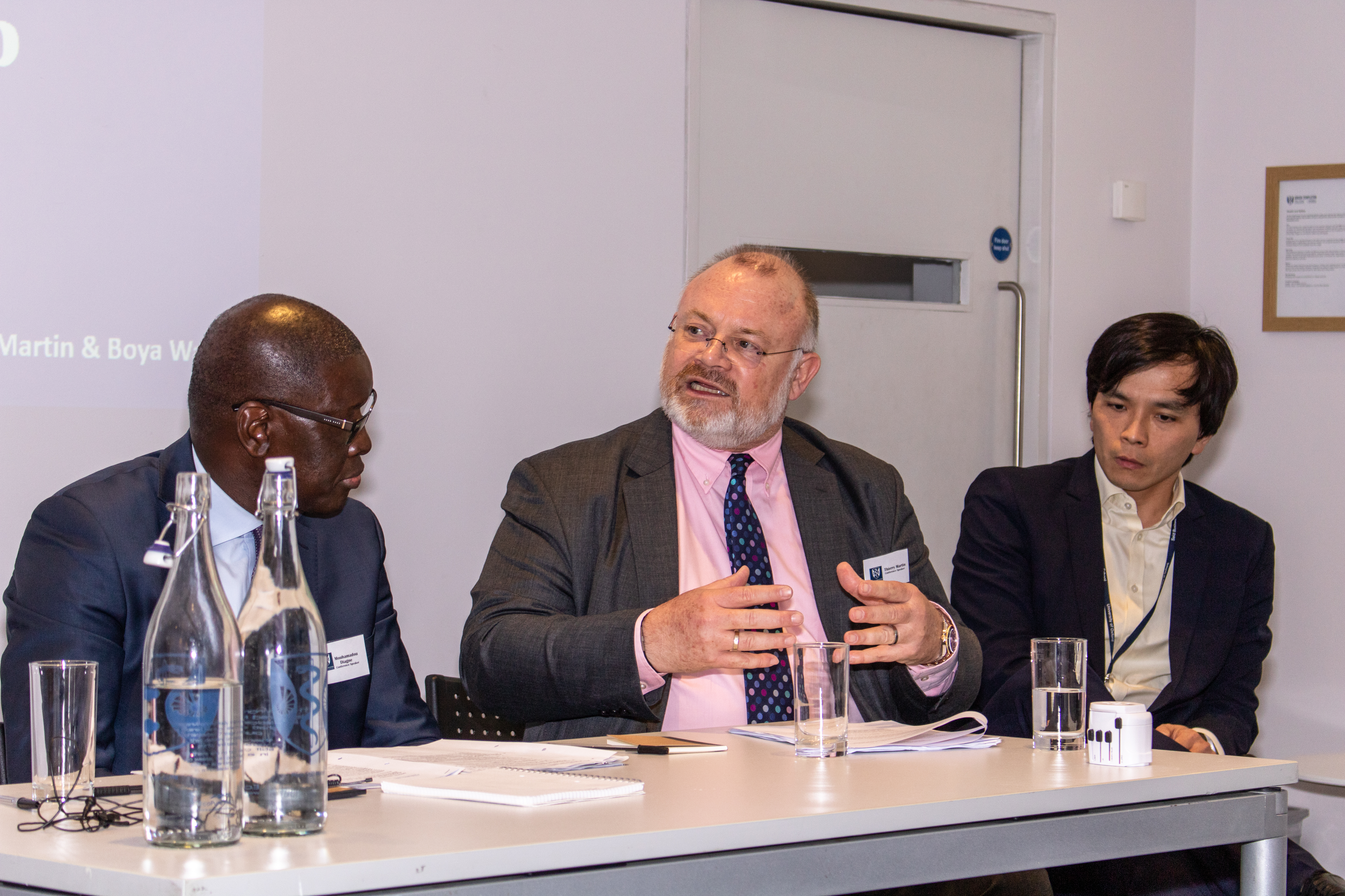 Ethical Investment Panel at Human Welfare Conference 2019: Mouhamadou Diagne, Thierry Martin and Boya Wang