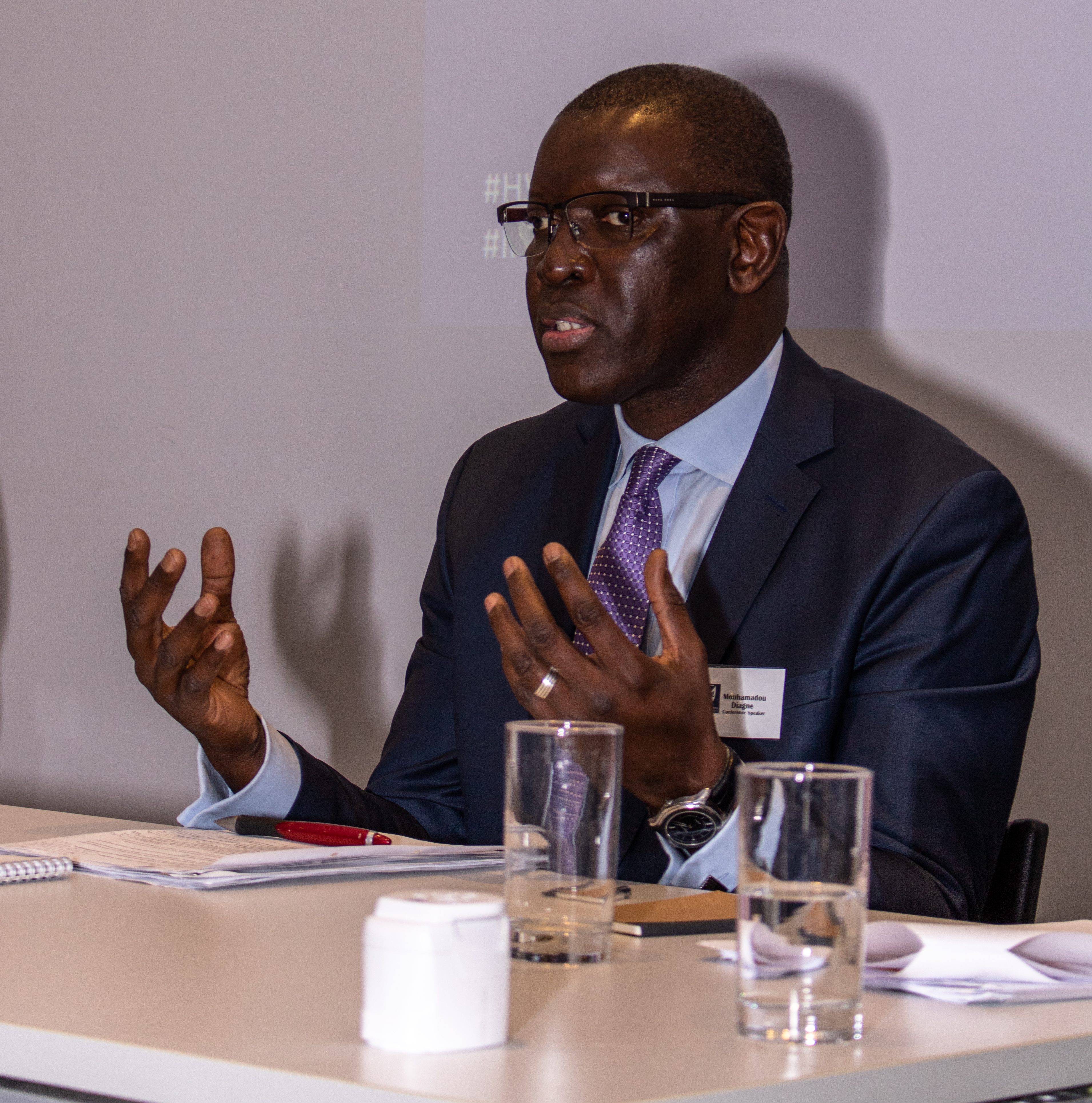 Ethical Investment Panel at Human Welfare Conference 2019: Mouhamadou Diagne