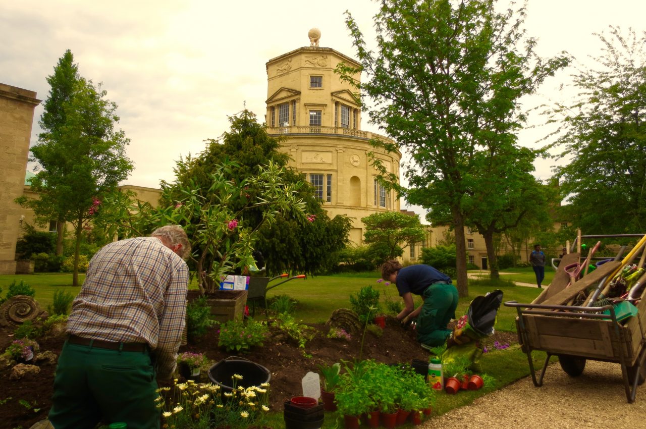 Peter Hurtubise, Green Templeton College Photography Competition entry 2019