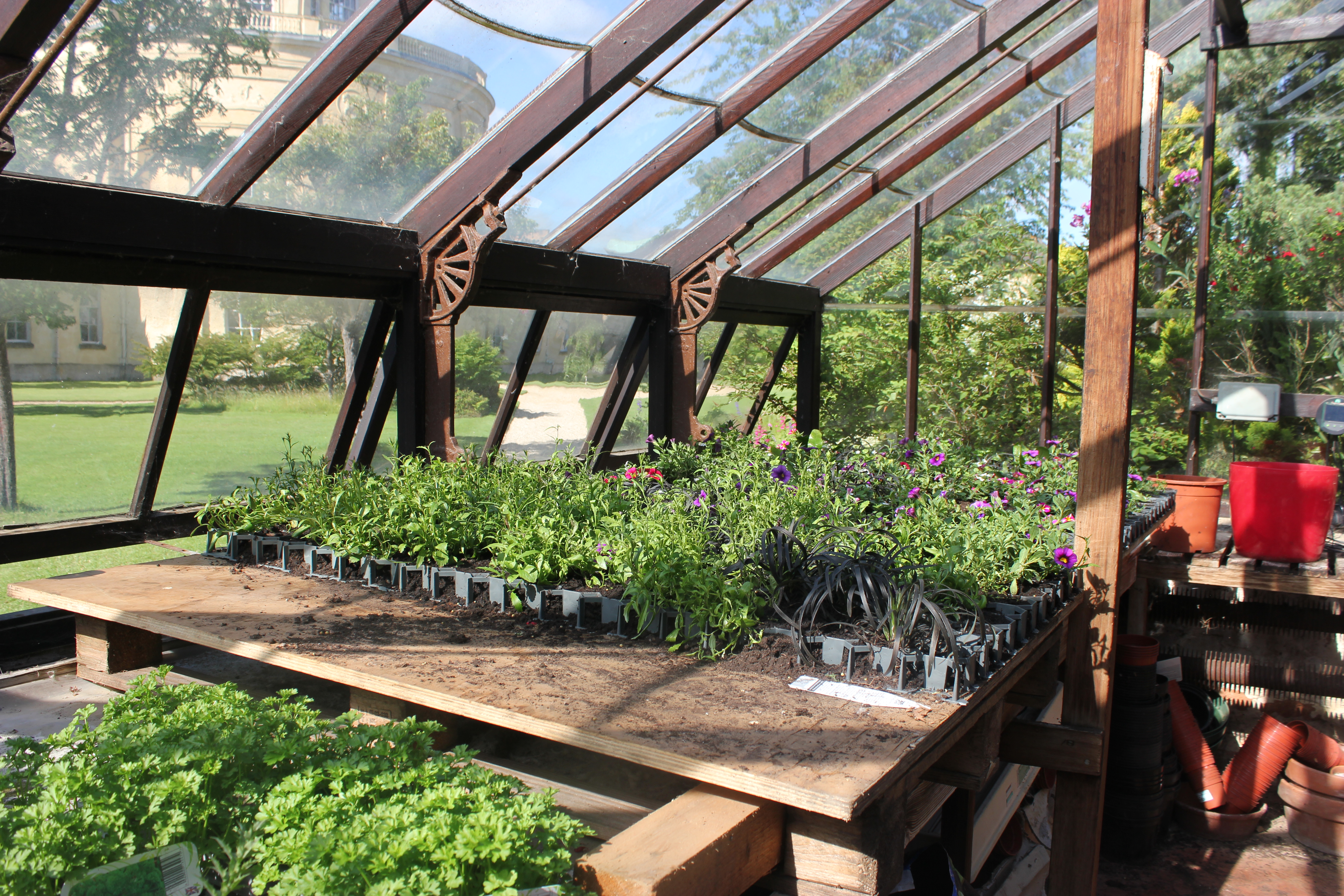 The Living Wall being created, June 2019