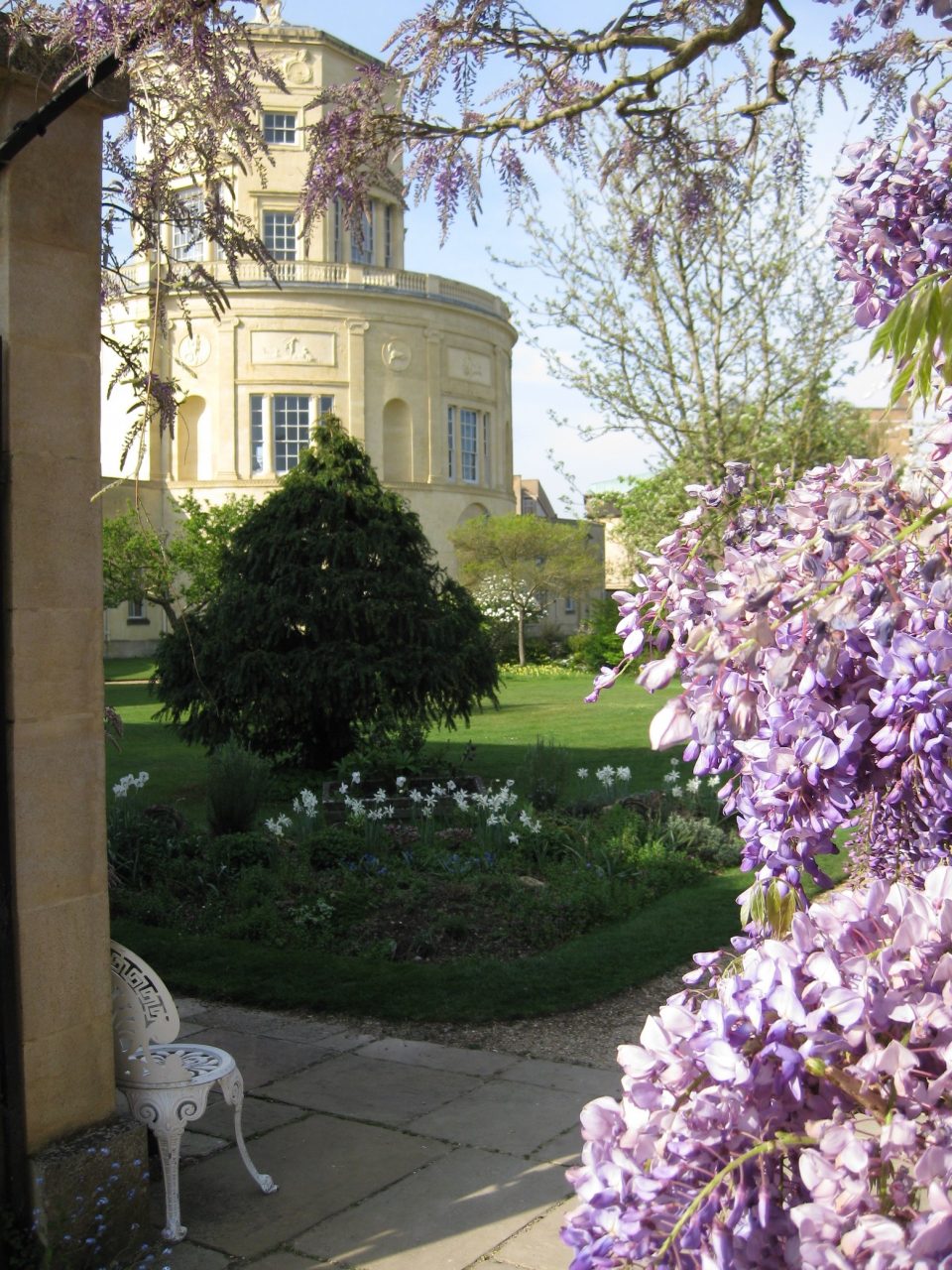 Wisteria and Radcliffe Observatory