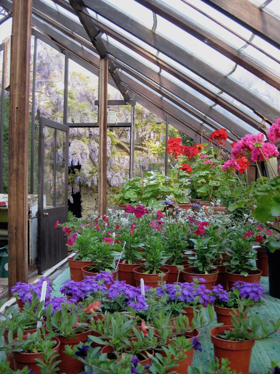 Inside the Greenhouse