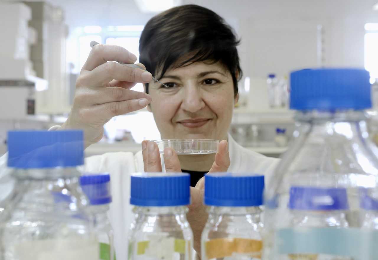 Professor Sonia Contera examines samples in her laboratory 