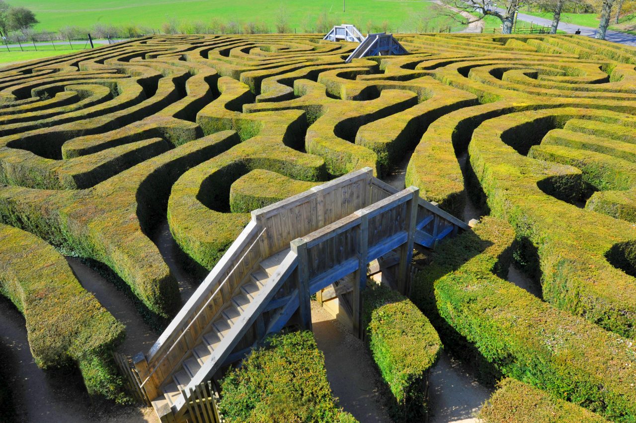 An aerial view of a lush green maze with bridges to get from one side to another