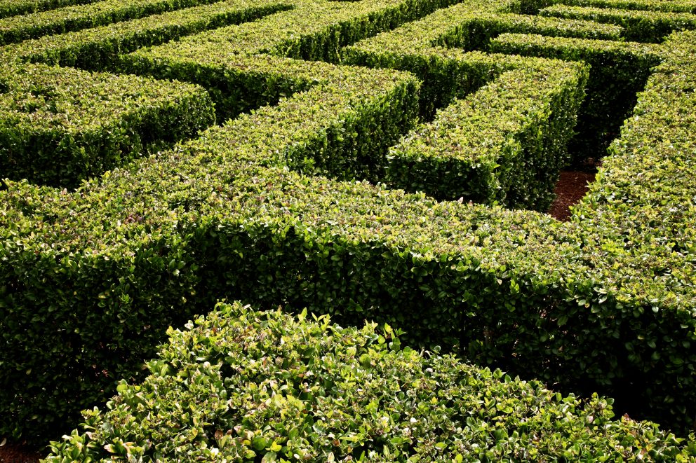 An aerial view of a lush green labyrinth