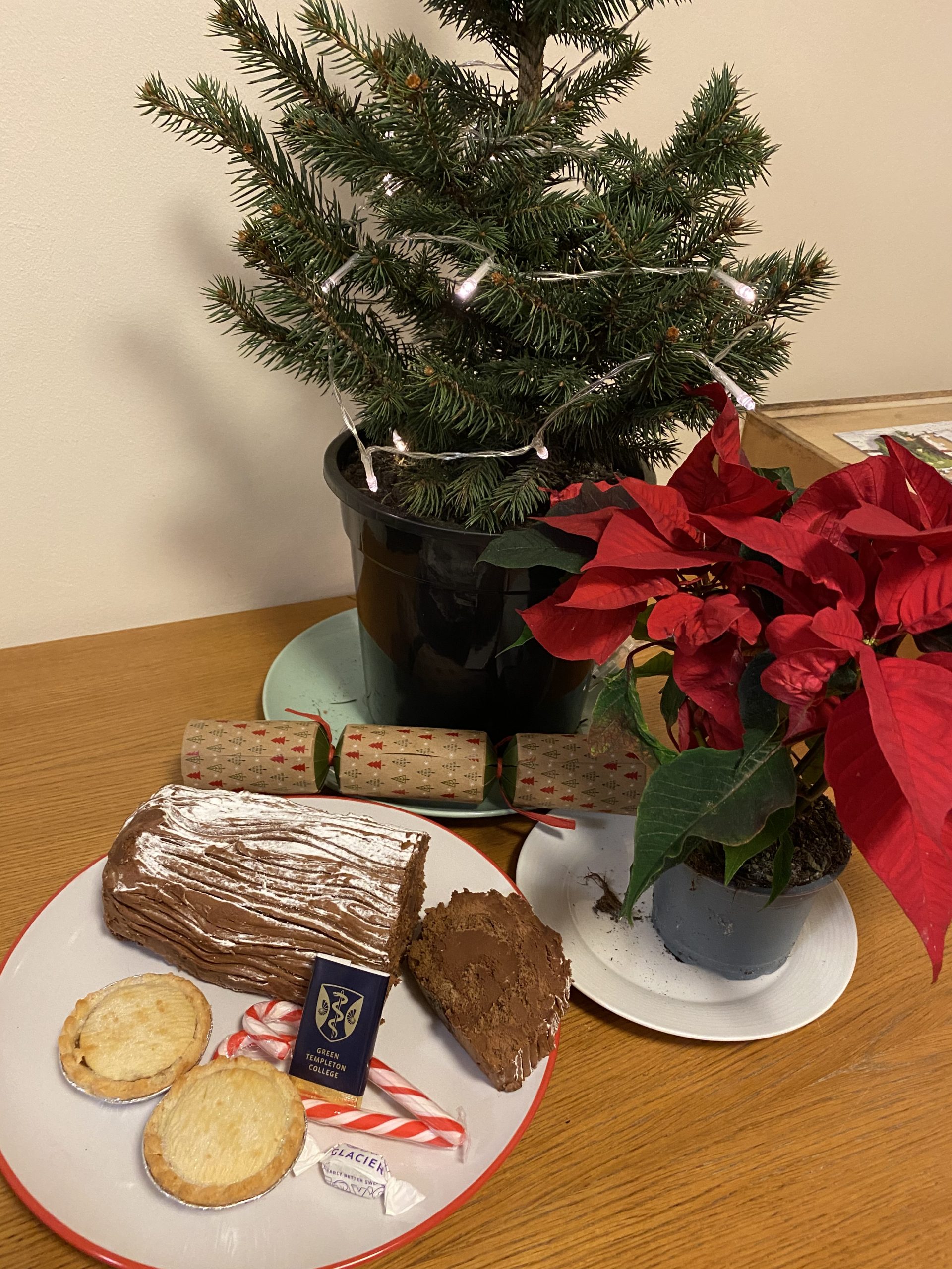 A chocolate yule log, mince pies, chocolate and candy canes sitting on a table