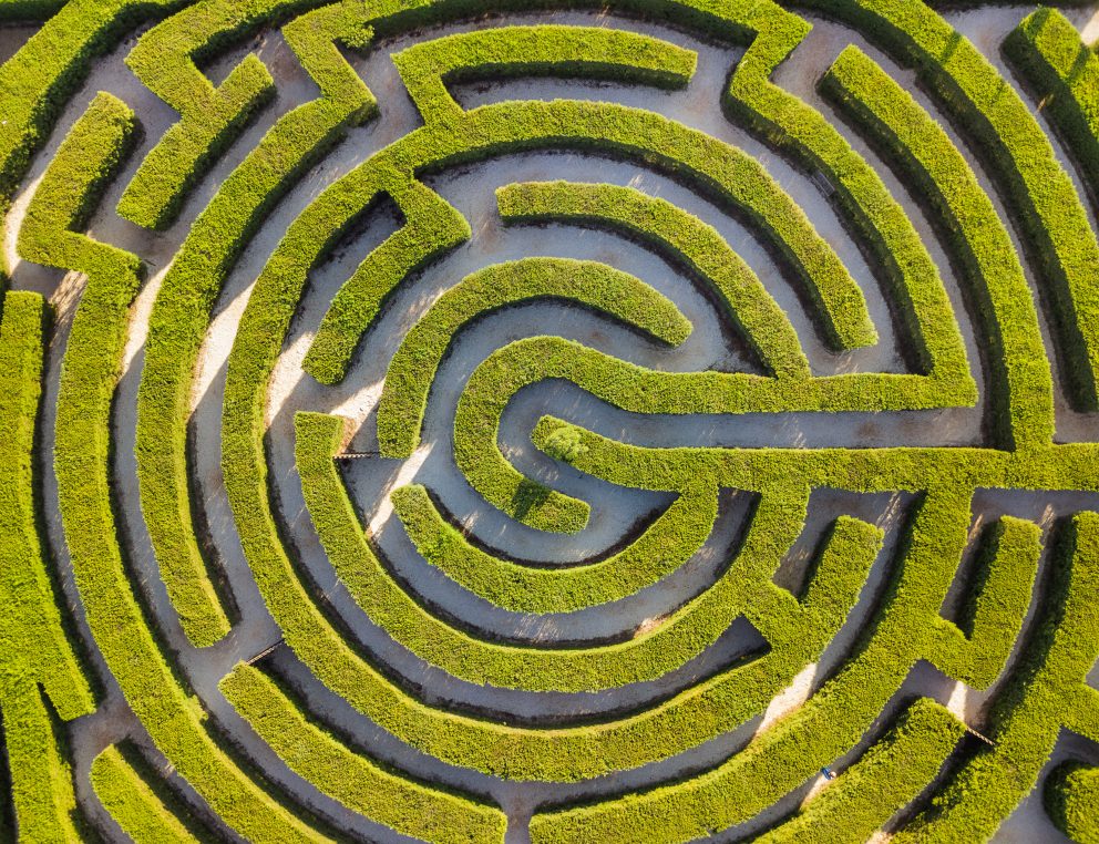 Maze Of Bushes In Botanical Park Ayia Napa Cyprus