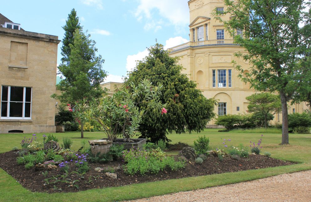 the-green-templeton-college-gardens-green-templeton-college