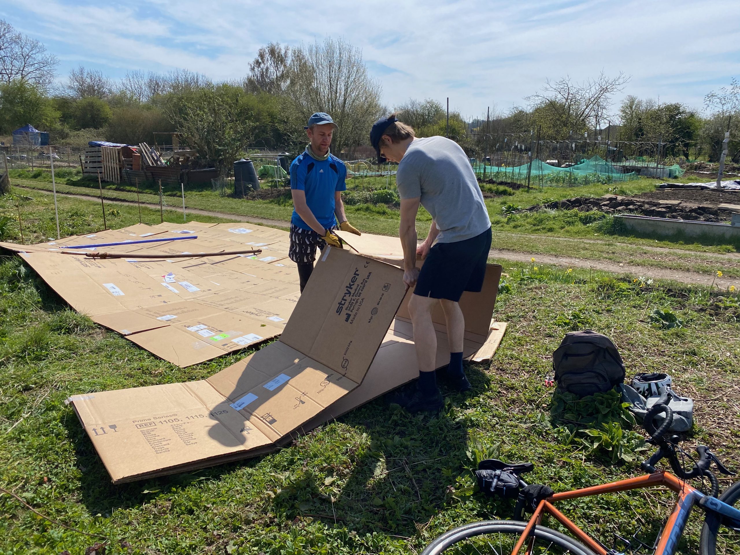 Allotment team members lay large sheets of cardboard on the soil to use as compsot
