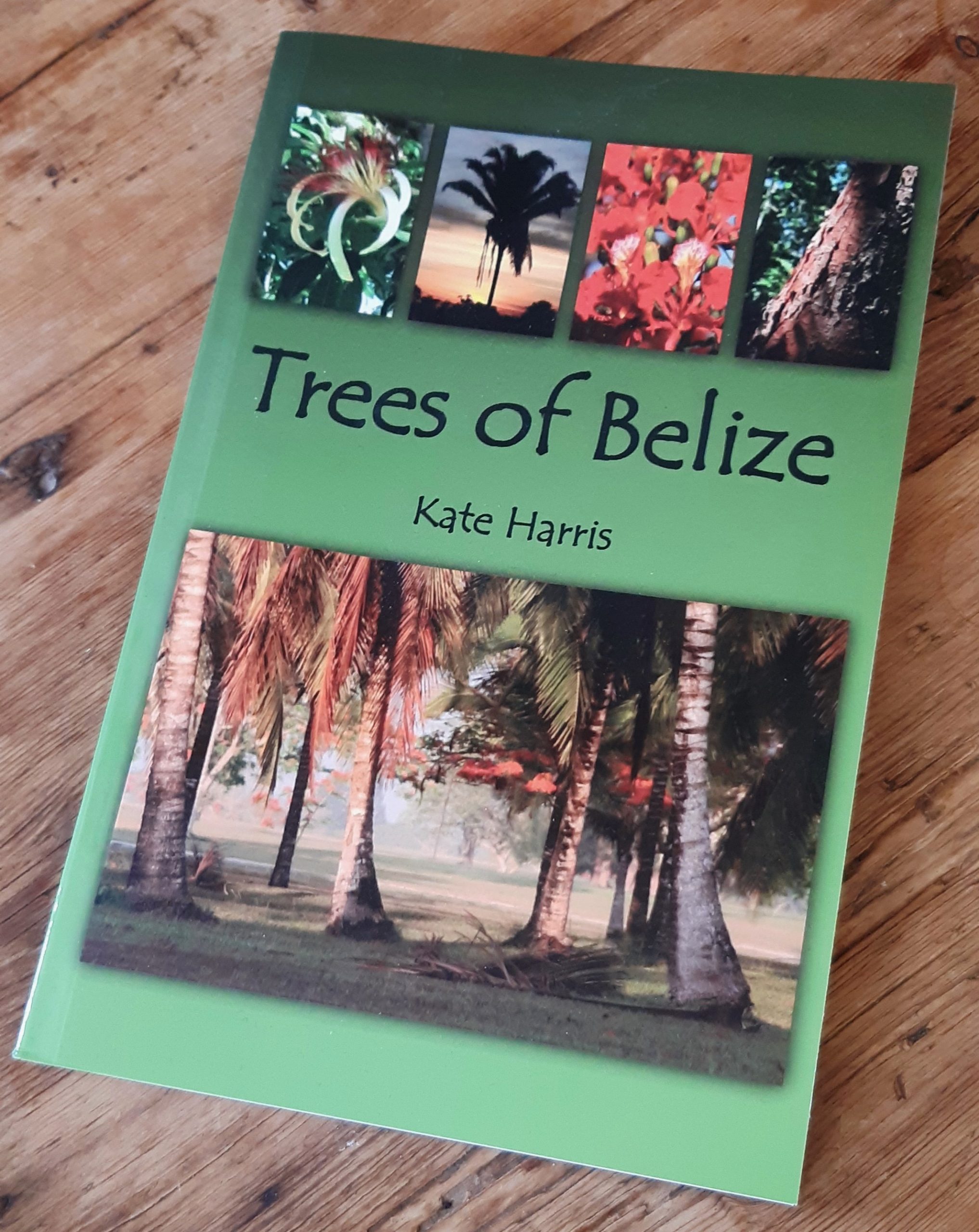 The cover of Kate Harris' book 'Trees of Belize'