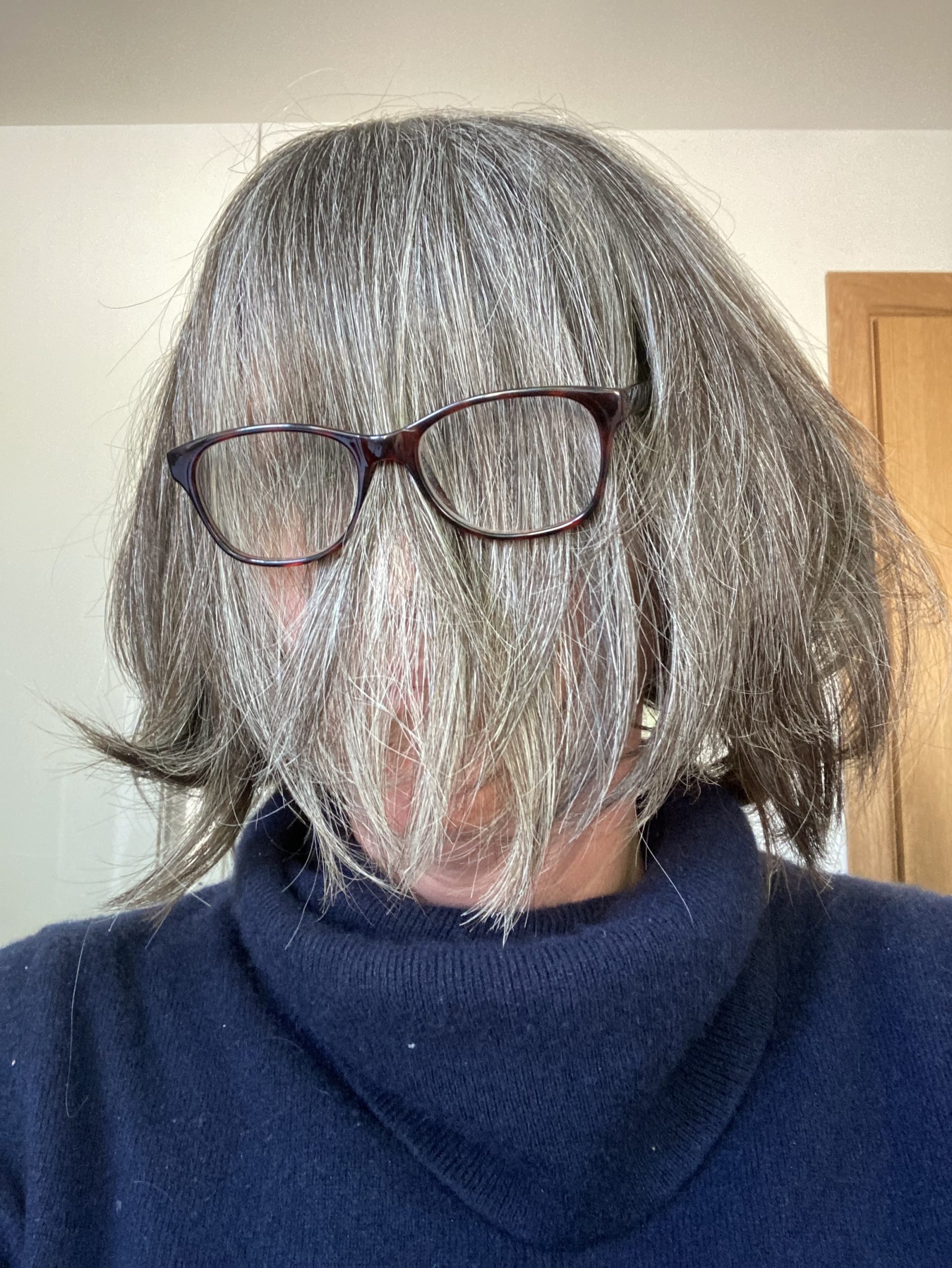 Long grey hair is brushed down over the face and a pair of glasses is placed on top