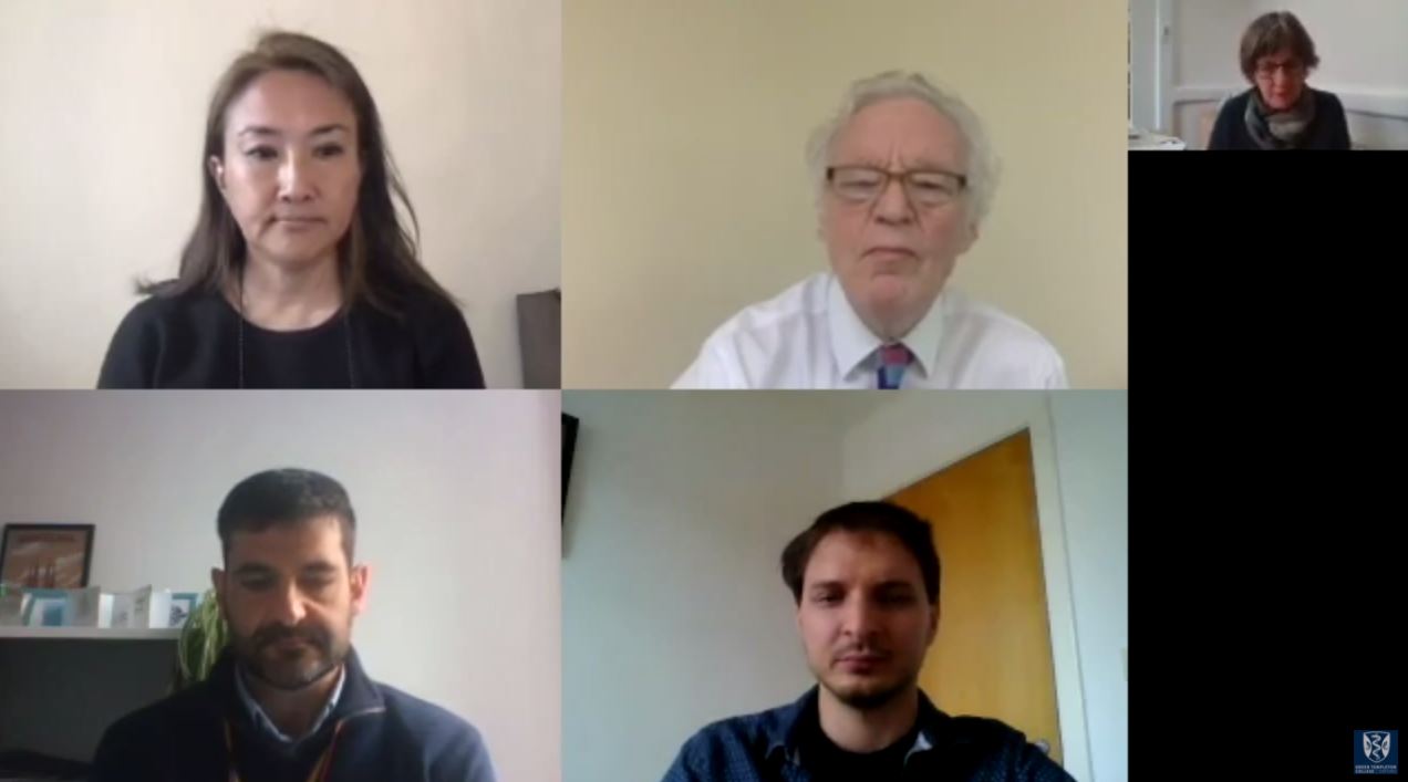 Mary Daly chairs a panel discussion via Zoom at the Human Welfare Conference 2021