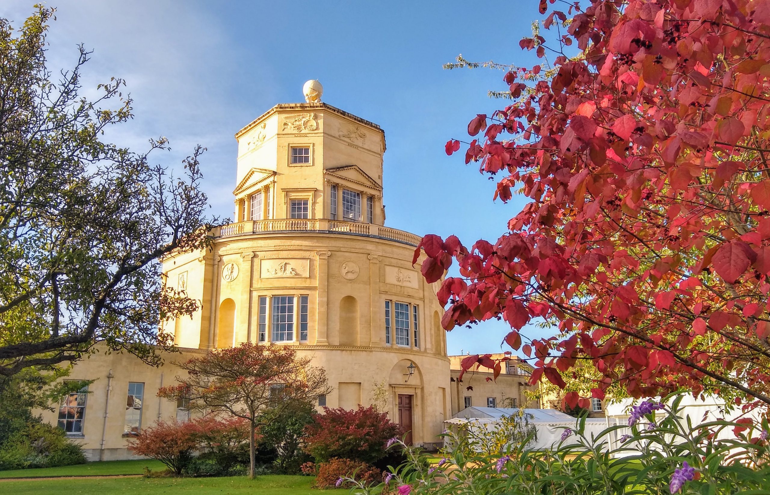A tree with red leaves dominates the forefront of the landscape with the Radcliffe Observatory visible just behind