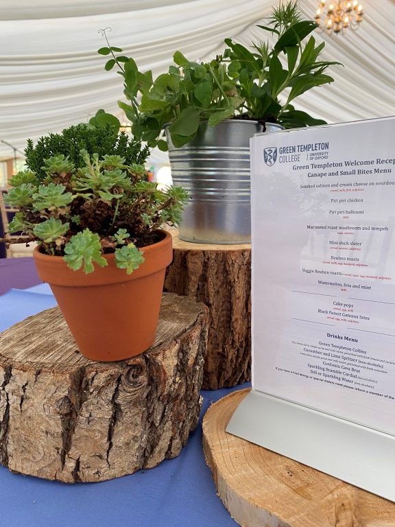 plants in pots next to menu, all standing on stands from cut trees