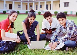 A group of friends sit around laptops and books as they study together on a lawn