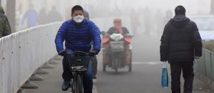 Health And Environment Ems Cropped