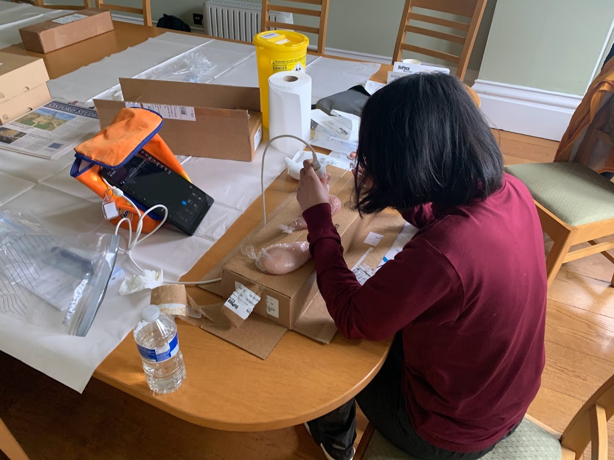 Student initiative on imaging and interventional radiology Green