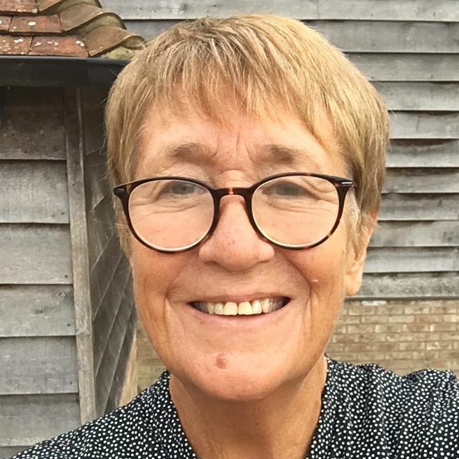 Denise Lievesley Profile Pic Outside