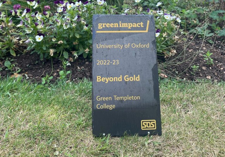 Beyond Gold Green Impact Award Slate On Grass In Garden