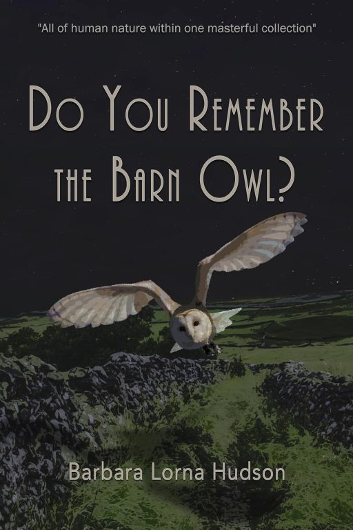 Do You Remember The Barn Owl