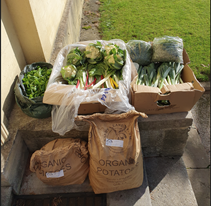 Farm To Fork Gtc Order