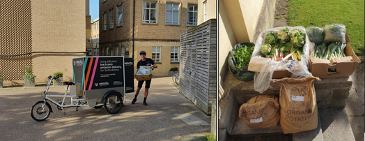 Farm To Fork Pictures