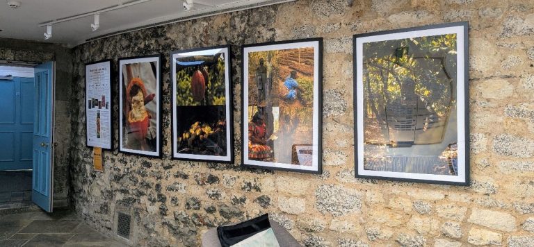 Fairtrade Pictures In Stables
