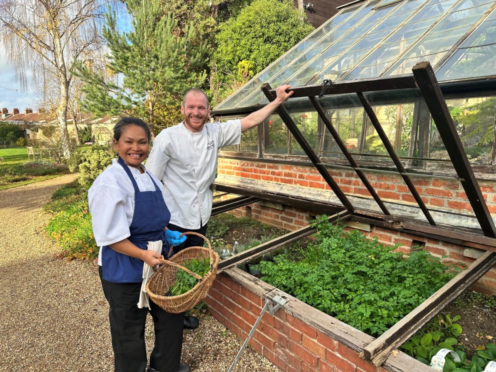 Chefs Collecting Herbs In Garden