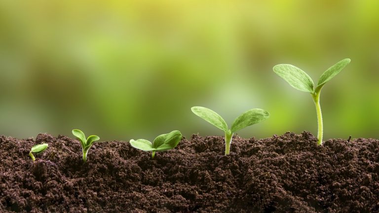 Istock 2215596857 Feature 16 9