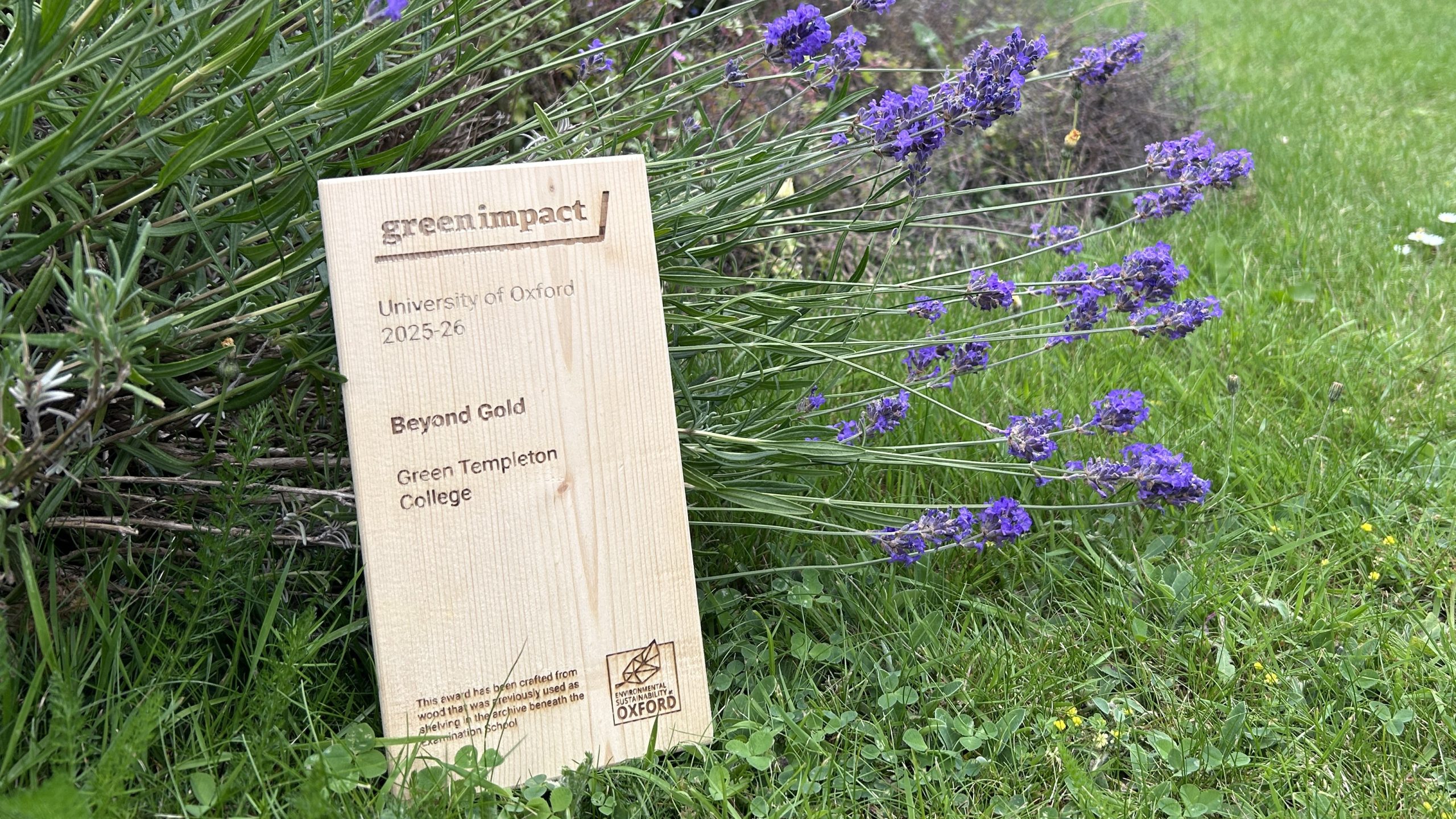 Green Impact Beyond Gold Awards In Wood On Grass With Lavender Behind