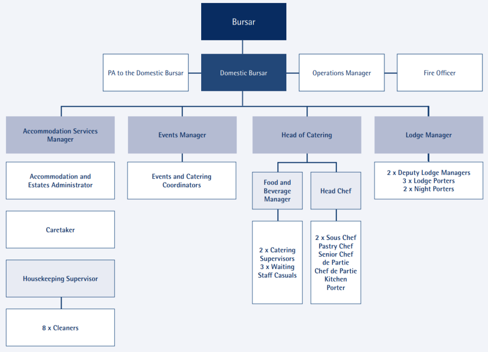 Organisation chart showing Domestic Bursa reporting to the Bursar and with five teams and two other direct reports